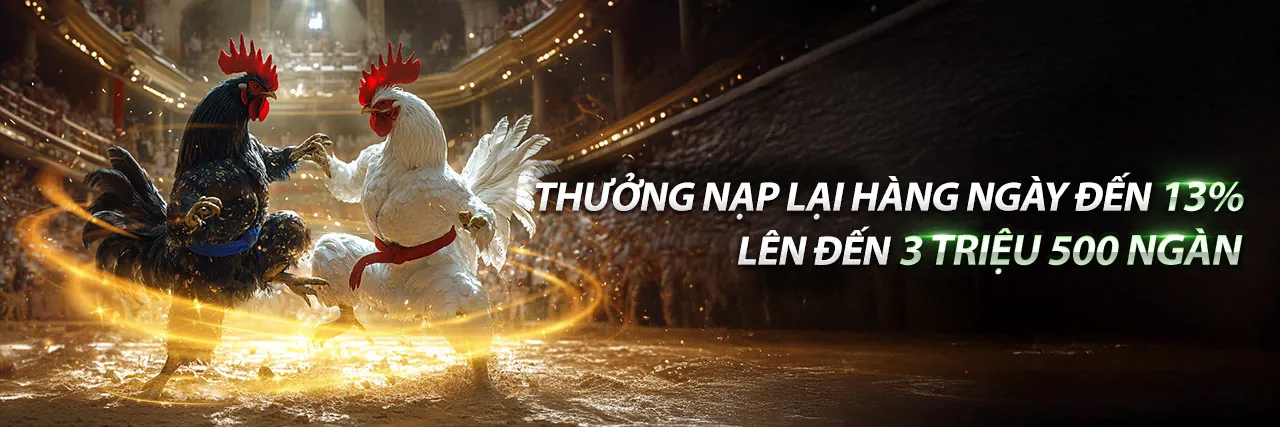 Đá Gà Trực Tuyến Hấp Dẫn tại OK8